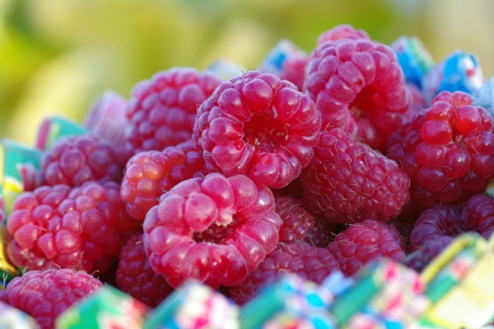 Распберри ягода