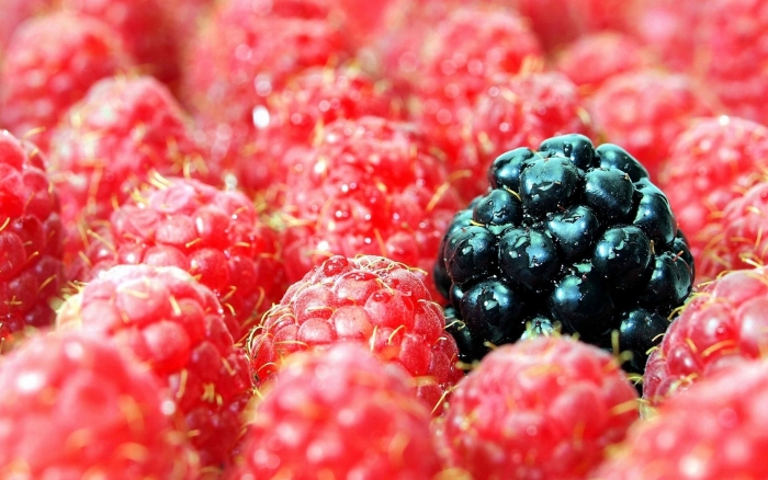 Ягоды малина ежевика