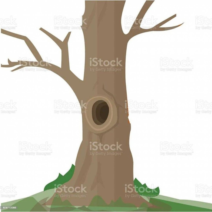 Ствол дерева с дуплом