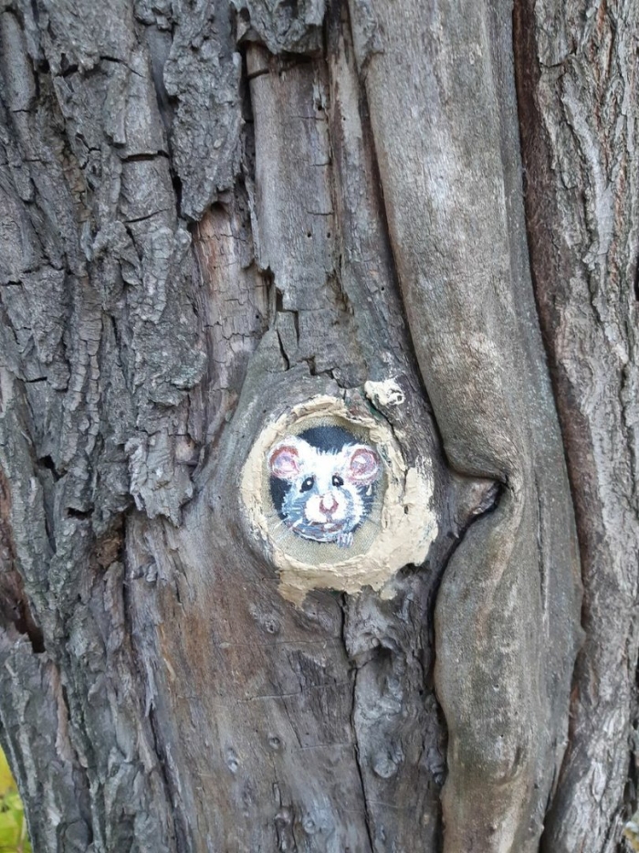 Мышь в дупле