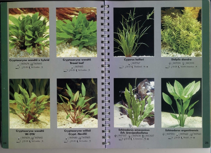 Определитель аквариумных растений