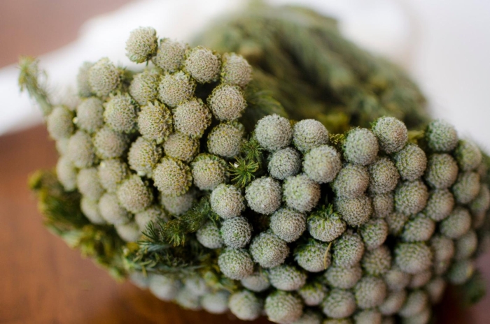 Капс бруния сильвер