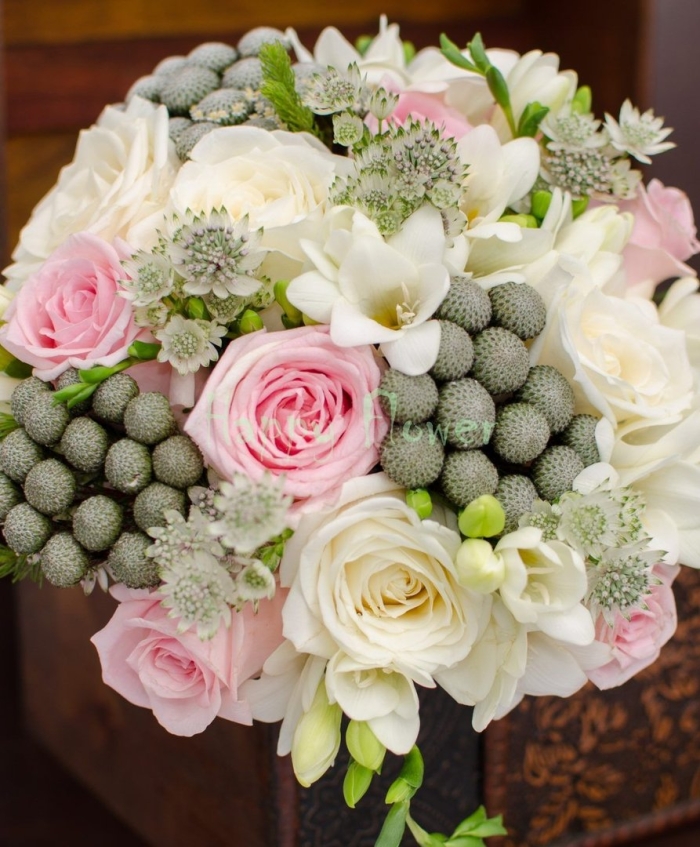 Бруния цветок