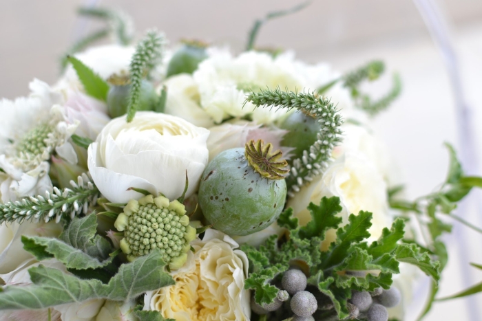 Бруния эрика