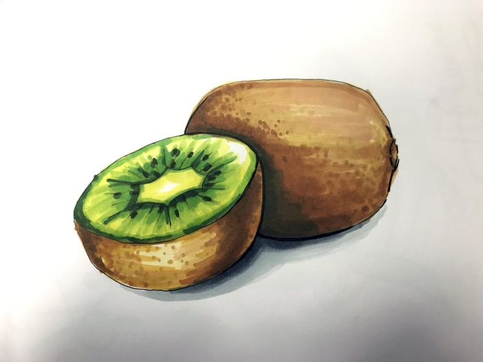 Скетчинг киви
