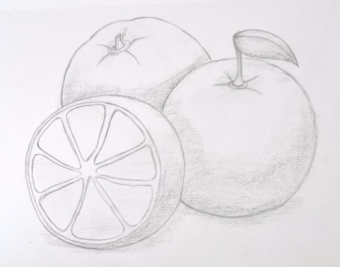 Фрукты для срисовки карандашом