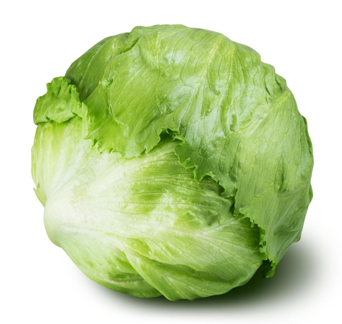 Iceberg lettuce