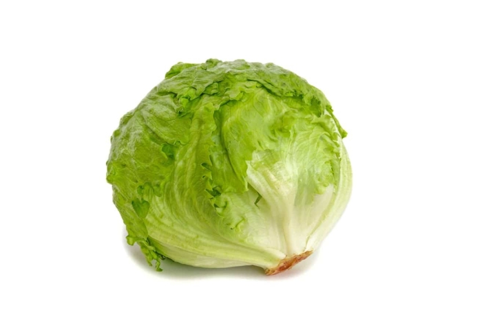 Fresh iceberg lettuce