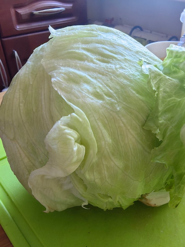 Капуста для салата