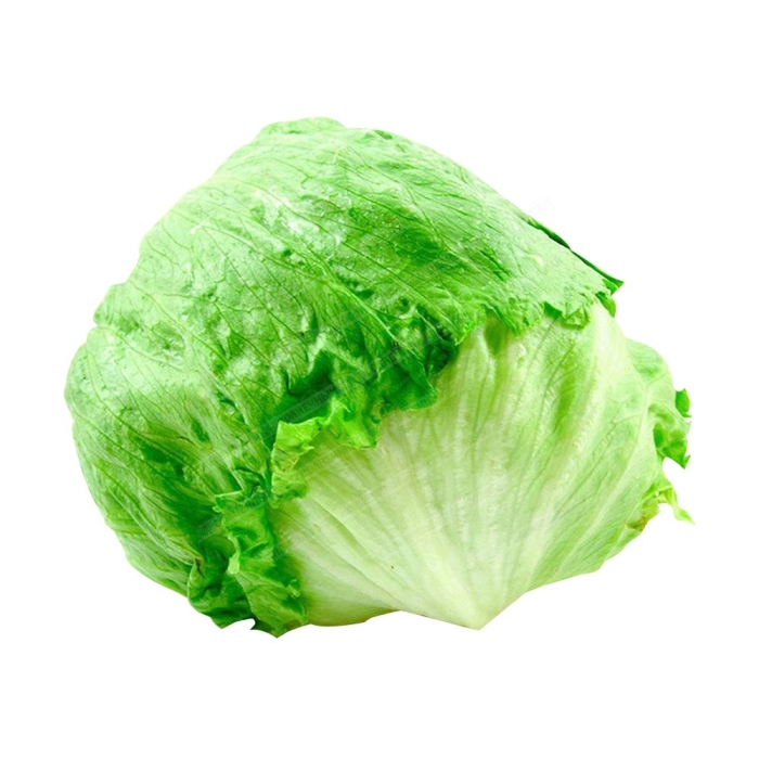 Салатная капуста айсберг