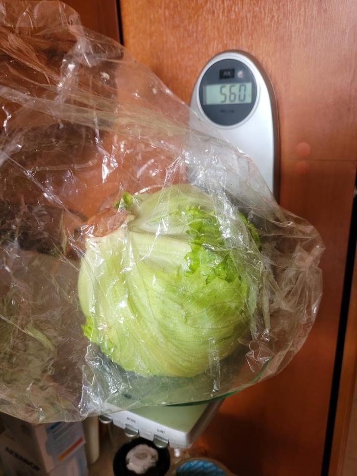 Салат айсберг польза и вред для здоровья