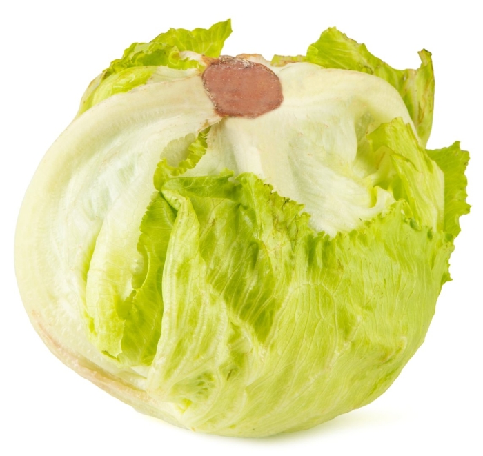 Салат айсберг русский размер