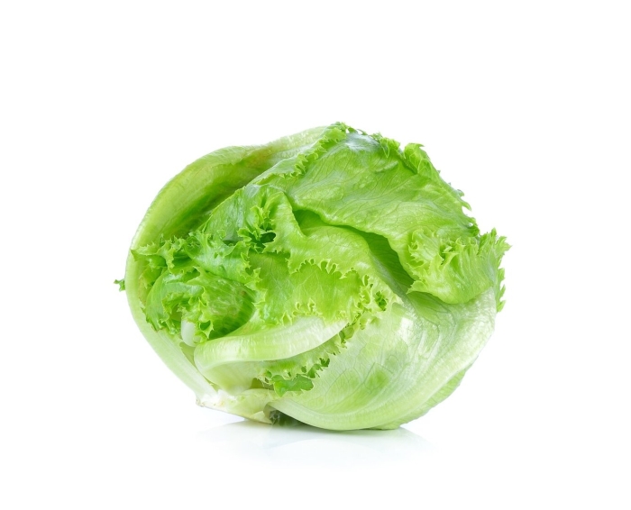 Салат латук айсберг