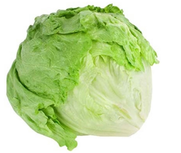 Iceberg lettuce