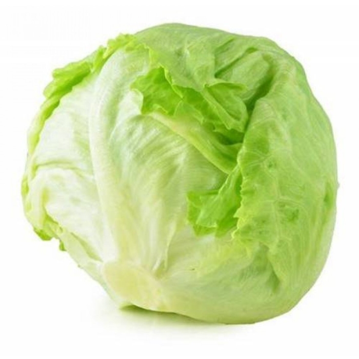 Iceberg lettuce