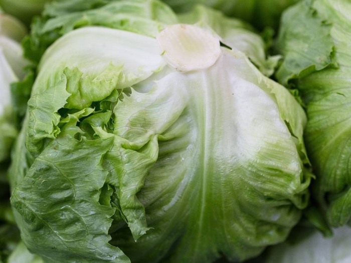 Что такое салат айсберг