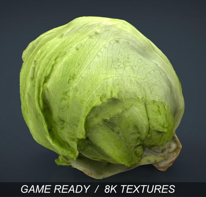 3д модель lettuce