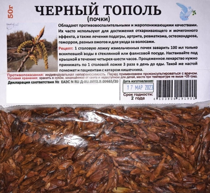 Почки черного тополя