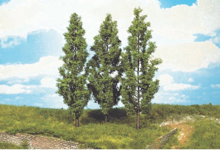 Лиственное дерево