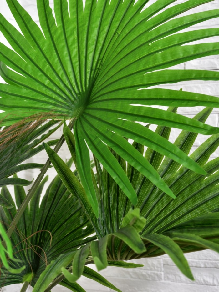 Пальма вашингтония искусственная