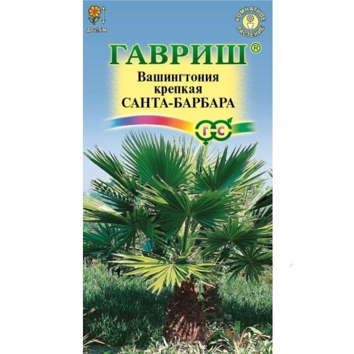 Вашингтония санта барбара