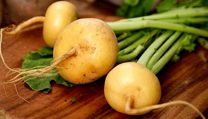 Белая редька турнепс