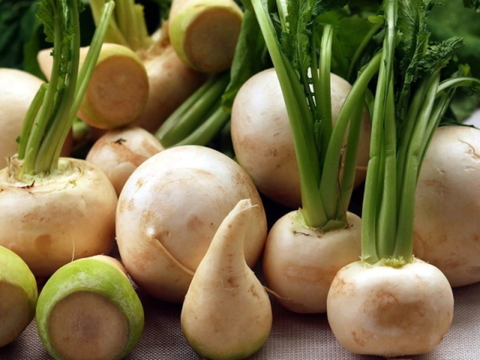 Репа (brassica rapa)