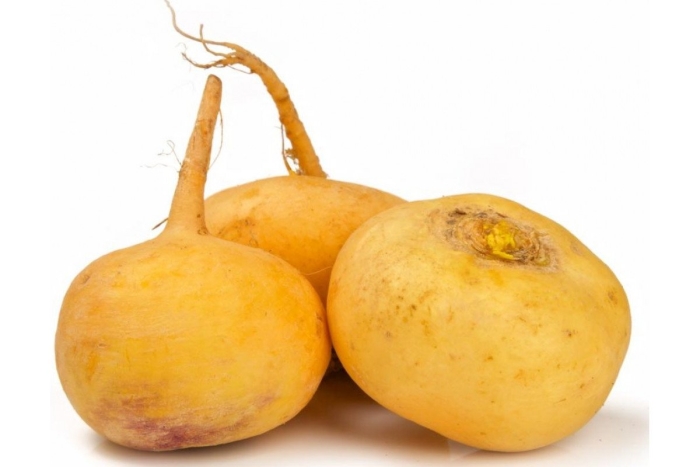 Редька желтая