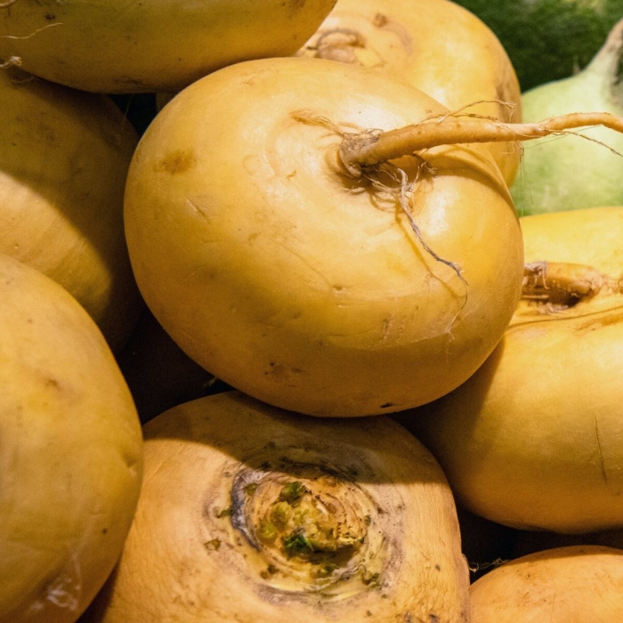 Репа и редька