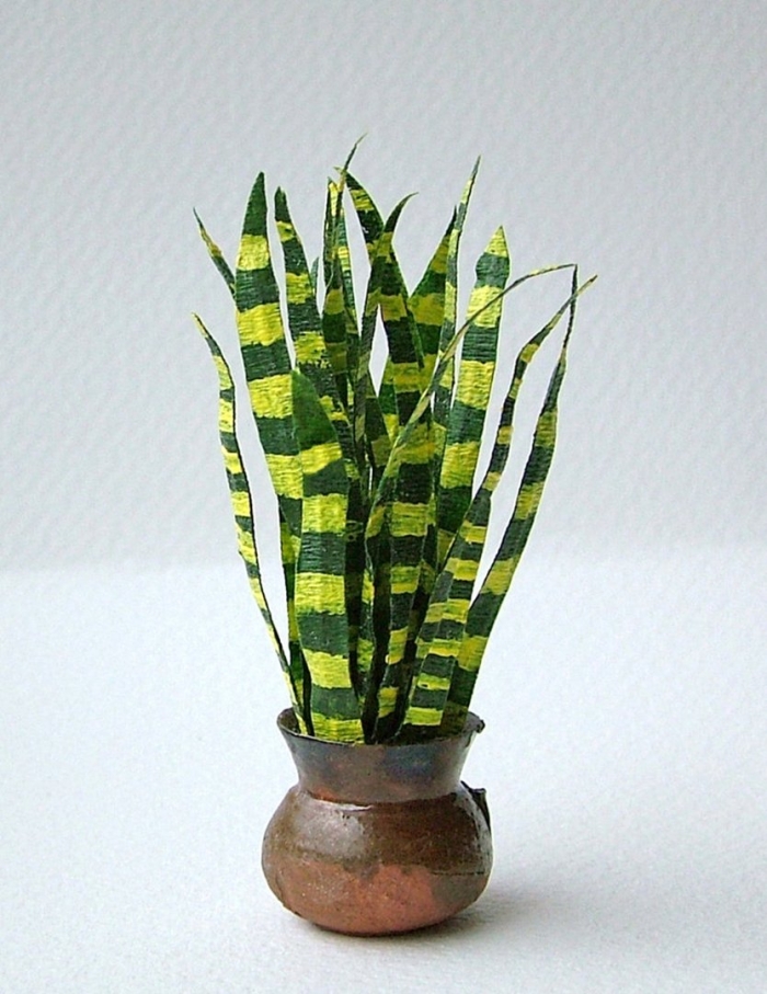 Сансевиерия снаке плант