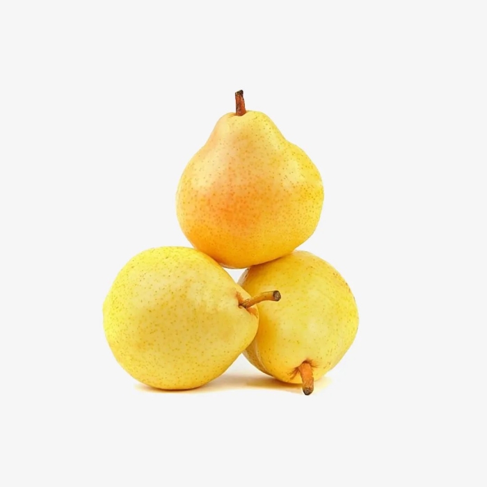 Груша дюшес летний