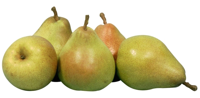 Груша на белом фоне