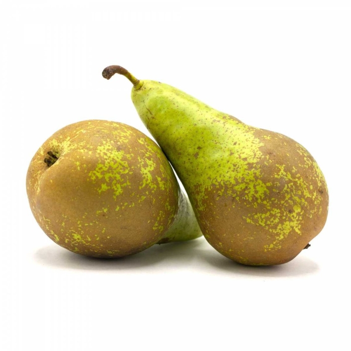 Груша конференция турция