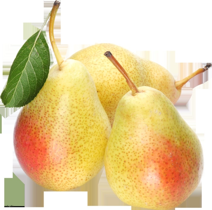 Груша форель