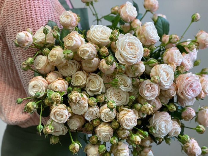 Кустовая роза леди бомбастик