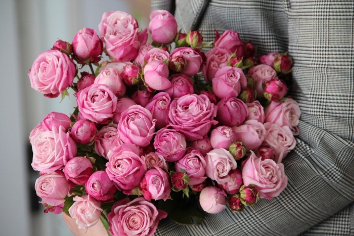 Кустовая роза леди бомбастик