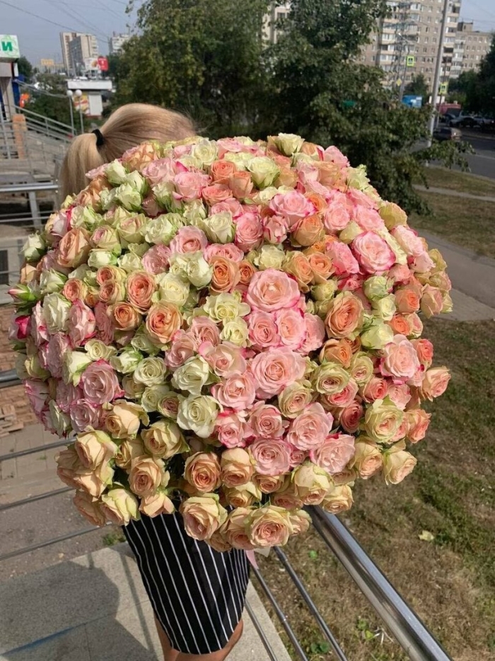 101 кустовая роза