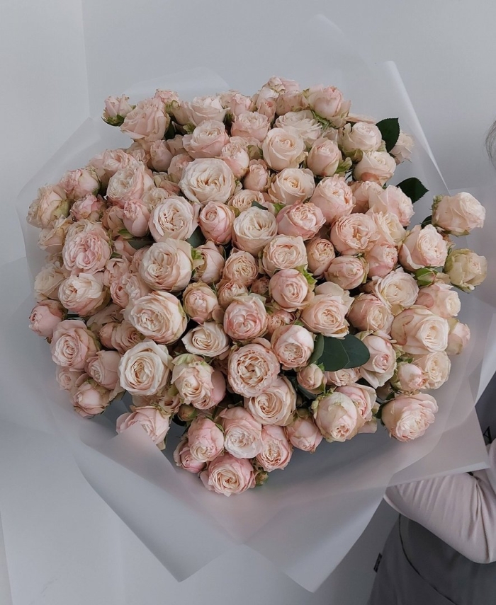 Пионовидная роза бомбастик