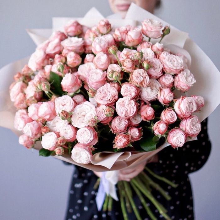 Кустовая роза мадам бомбастик