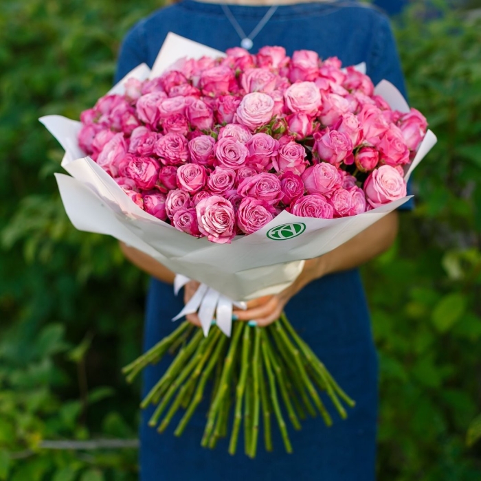 Роза леди бомбастик