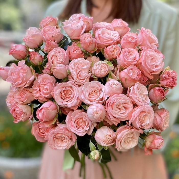 Кустовая пионовидная роза