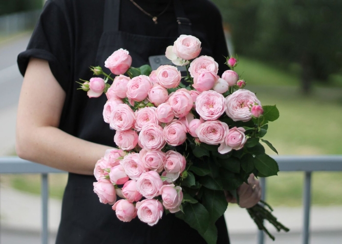 Роза пионовидная кустовая