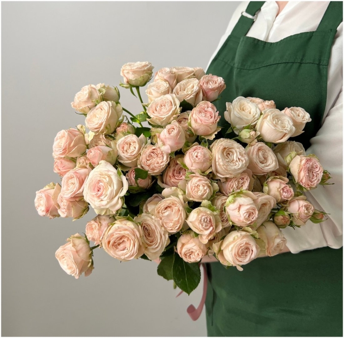 Роза бомбастик