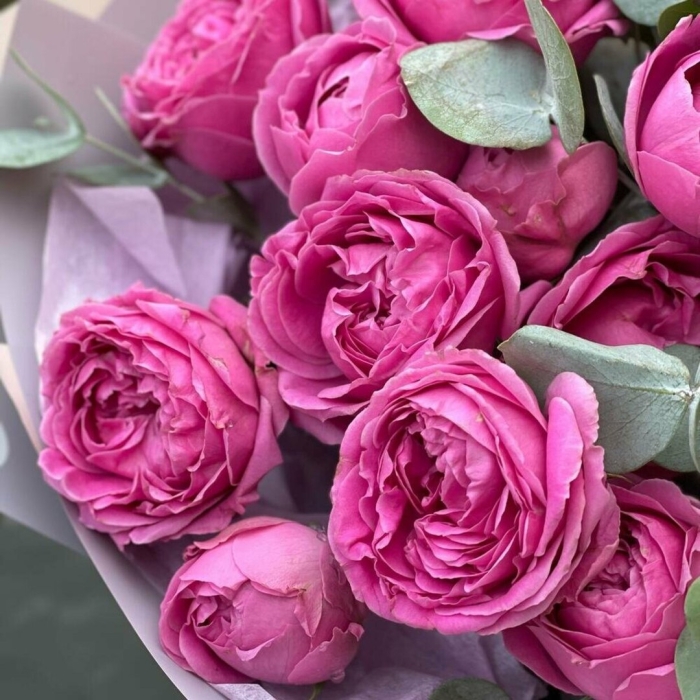 Мисти баблс