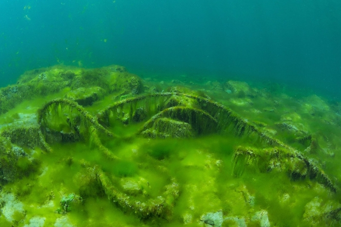 Дно озера байкал