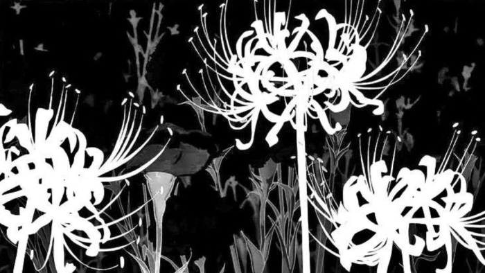 Токийский гуль цветок