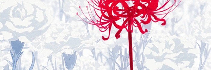 Хиганбана ликорис поле