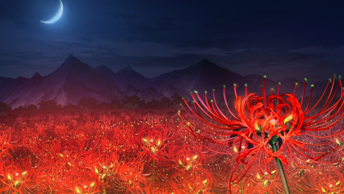 Ликорис паучья лилия