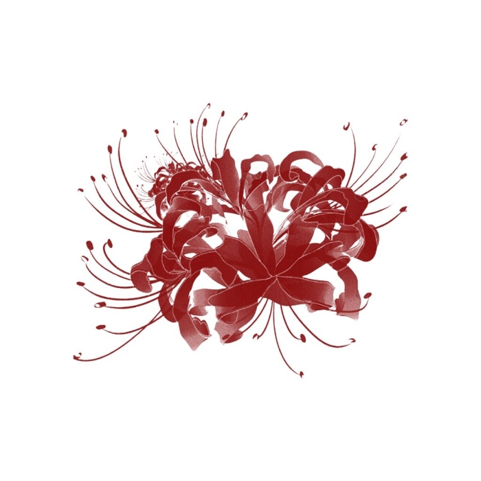 Хиганбана ликорис