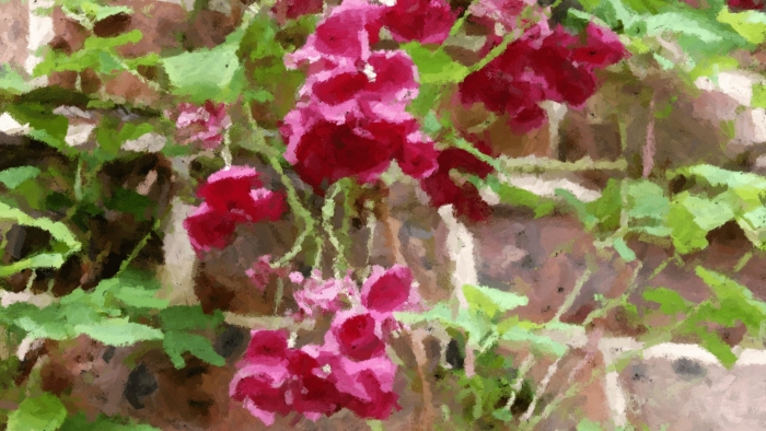 Мальвы живопись